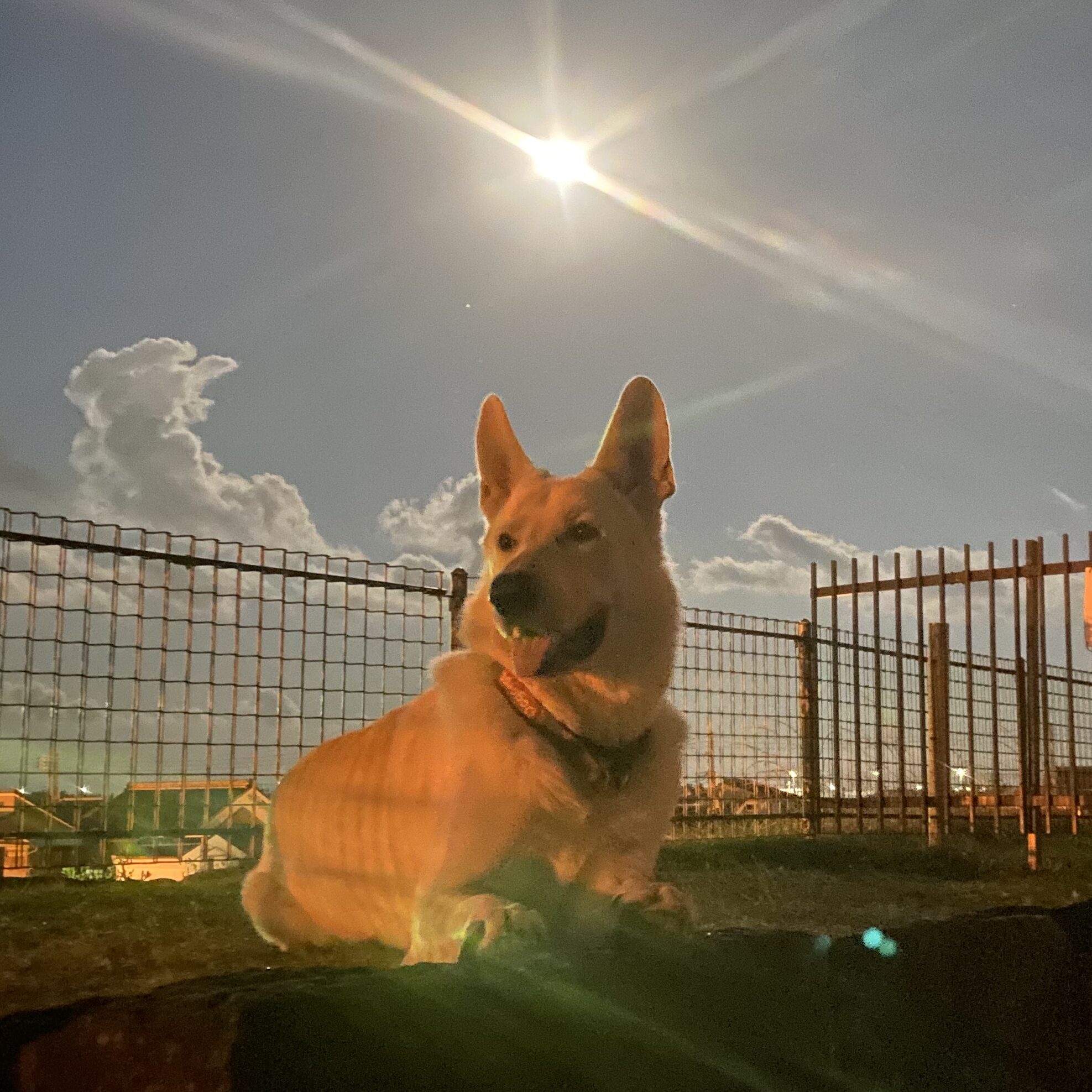 D8B23614-89AE-4FDC-8F47-668F0FCDE61C